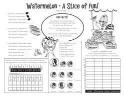 A Slice of Fun! - Watermelon.org