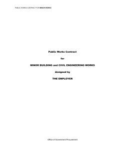 Public Works Contract for Minor Building and Civil Engineering Works