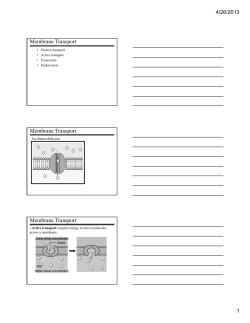 Membrane Transport Membrane Transport Membrane Transport