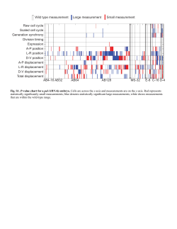 Raw cell cycle Scaled cell cycle Generation synchrony Division