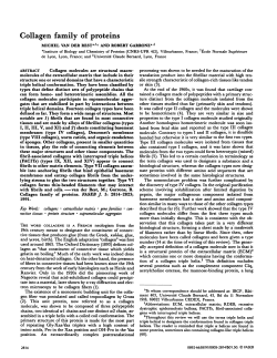 Collagen family of proteins