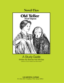 Novel&bull;Ties A Study Guide