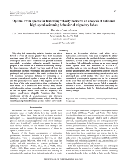 Optimal swim speeds for traversing velocity barriers