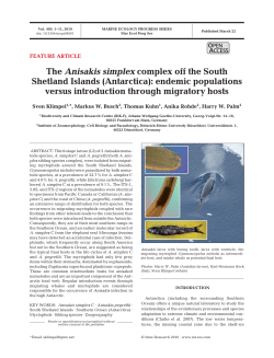 The Anisakis simplex complex off the South Shetland Islands