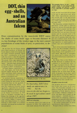 DDT,thin egg- shells, and an Australian falcon