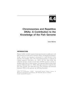 Chromosomes and Repetitive DNAs: A Contribution to the