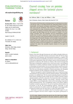 how are proteins shipped across the bacterial plasma membrane?