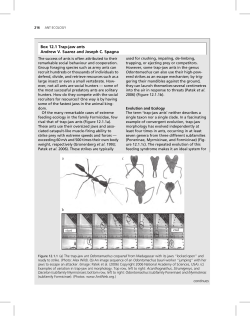 00-Lach et al-Fm 1..18