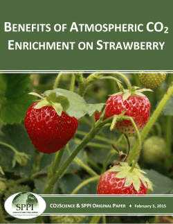 benefits of atmospheric co2 enrichment on strawberry
