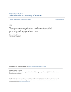 Temperature regulation in the white