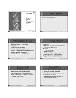 Chapter 35 Media Directory Characteristics of Fungi Fungal Infections