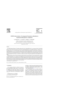 ESEM observations of compacted bentonite submitted to