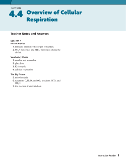 4.4 Overview of Cellular Respiration