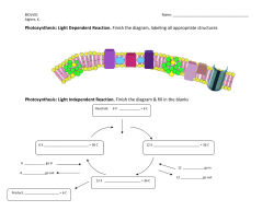 Photosynthesis: Light Dependent Reaction. Finish the diagram