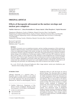 Effects of therapeutic ultrasound on the nuclear envelope and