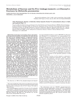 Metabolism of Sucrose and Its Five Linkage-isomeric a-D