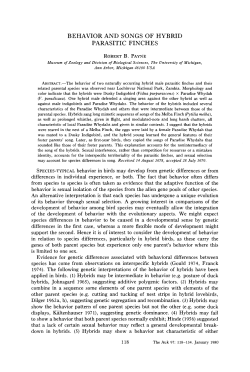 BEHAVIOR AND SONGS OF HYBRID PARASITIC FINCHES