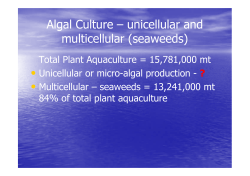 Algal Culture &ndash; unicellular and multicellular (seaweeds)