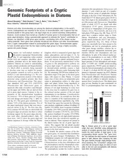 Genomic Footprints of a Cryptic Plastid Endosymbiosis - DSR