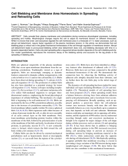 Cell Blebbing and Membrane Area Homeostasis in Spreading