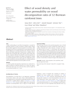 Effect of wood density and water permeability on