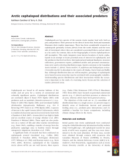 Arctic cephalopod distributions and their associated