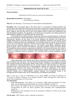 MASTER &laquo; Techniques Avanc&eacute;es en Calcul de Structures
