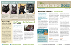 scratchingpost - Furry Friends