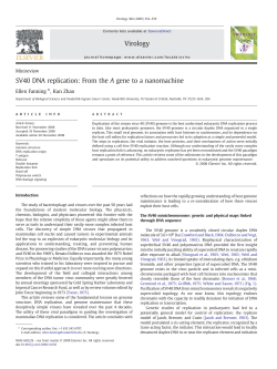 SV40 DNA replication: From the A gene to a nanomachine
