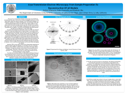 Cryo-Transmission Electron Microscopy: From Sample Preparation