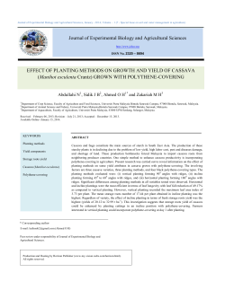 EFFECT OF PLANTING METHODS ON GROWTH AND YIELD OF