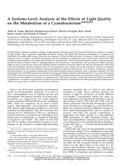 A Systems-Level Analysis of the Effects of Light