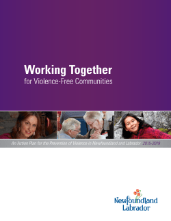 Working Together for Violence-Free Communities