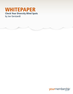 Check Your Diversity Blind Spots