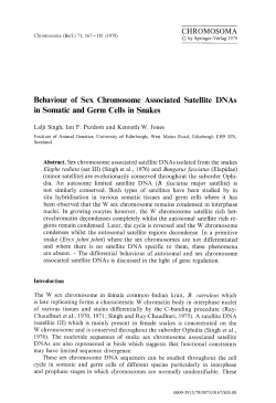 Behaviour of sex chromosome associated satellite DNAs in somatic