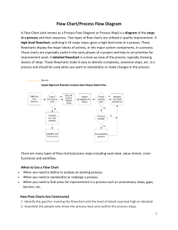 Flow Chart/Process Flow Diagram