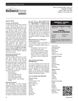 UniSource Energy Services .........................................................