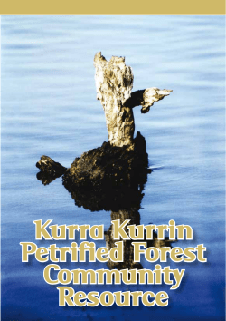 Kurra Kurrin Petrified Forest Community Resource