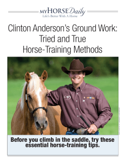 Clinton Anderson`s Ground Work: Tried and True Horse