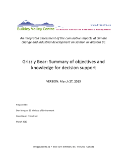 Grizzly Bear: Summary of objectives and knowledge for decision