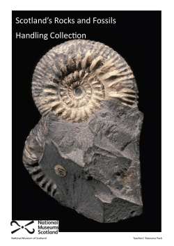 Scotland`s Rocks and Fossils Handling Collection