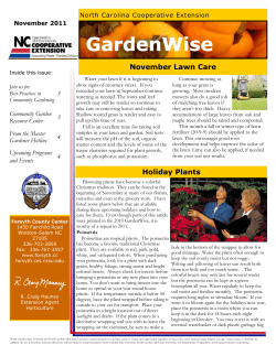 November 2011 - Forsyth County