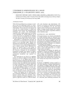 P@`tomella and Chlorogonzum (9), and Euglena