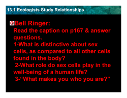 Bell Ringer - Clinton Public Schools