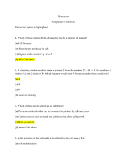 Assignment 2
