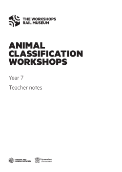 animal classification workshops