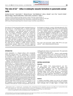The role of Ca2 + influx in endocytic vacuole formation in pancreatic