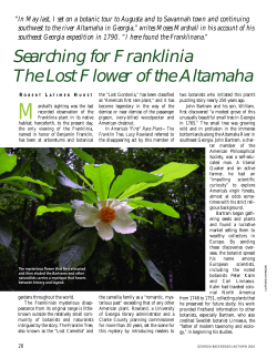 Franklin Tree - The National Society of The Colonial Dames of