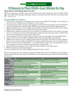 10 Reasons to Plant Alfalfa-Grass Mixture for Hay