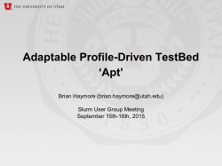 Adaptable Profile-Driven TestBed `Apt`